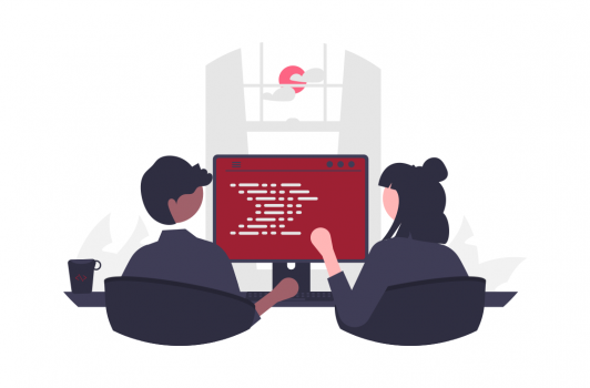 undraw_Pair_programming_re_or4x